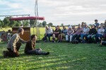 p0184021-1.jpg - 