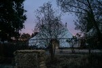 p0184061.jpg - 