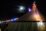 p0184200.jpg - 