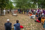 p0184267.jpg - 
