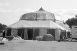 1191-2.jpg - 