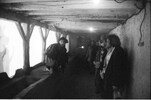 3499-15.jpg - 