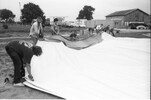 3664-17.jpg - 