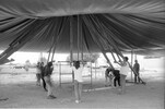 3664-8.jpg - 