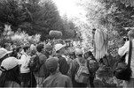 3961-5.jpg - 