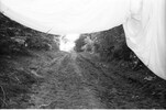 3961-8.jpg - 