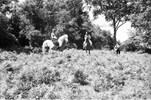 3962-28.jpg - 
