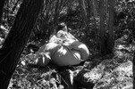 3962-34.jpg - 