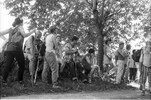 3964-11.jpg - 
