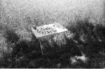 3964-23.jpg - 