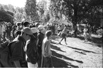 3965-23.jpg - 