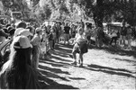 3965-27.jpg - 