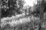 3966-28.jpg - 