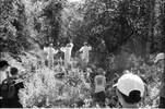3966-30.jpg - 