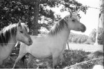 3968-12.jpg - 