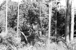 3968-20.jpg - 