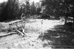 3968-9.jpg - 