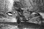 4239-17.jpg - 