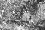 4239-20.jpg - 
