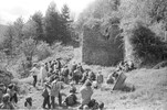 4239-33.jpg - 