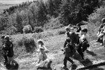 4239-36.jpg - 