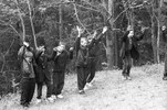 4240-27.jpg - 