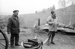 4243-35.jpg - 