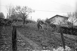 4243-4.jpg - 