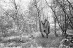 4662-29.jpg - 