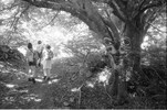 4664-8.jpg - 