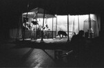 6802-33.jpg - 