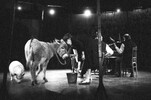 6806-16.jpg - 