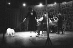 6806-18.jpg - 
