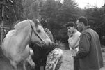 br-1969-23.jpg - 