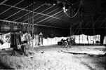 br-2275-2.jpg - 
