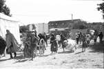 br-2356-20.jpg - 