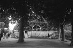 br-3240-17.jpg - 