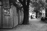 2824-1.jpg - 