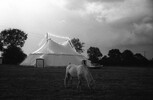 5711-34.jpg - 
