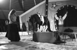 5723-13.jpg - 