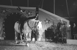 5728-1.jpg - 