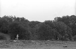 5736-1.jpg - 