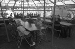 5738-33.jpg - 