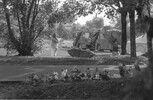 5739-1.jpg - 