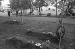 5739-22.jpg - 