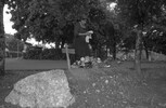 5739-25.jpg - 