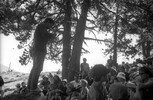 6115-36.jpg - 