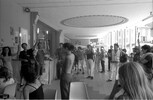 6123-29.jpg - 