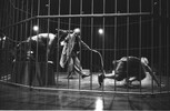 6166-18.jpg - 