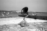 br-5964-29.jpg - 